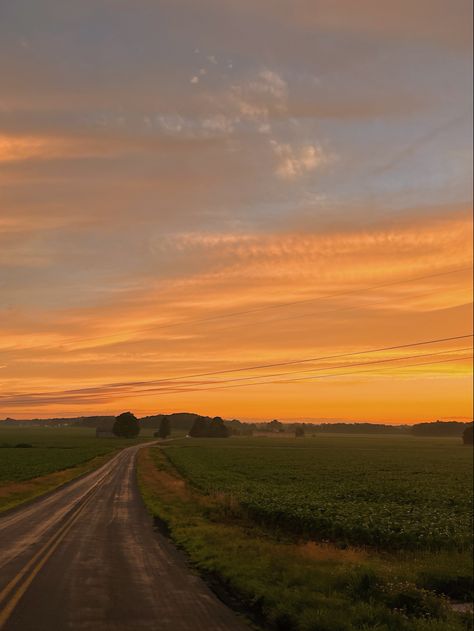 The Middle, The Sun, For Free, Sun, Road, Green