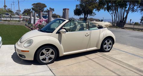 Cream Bug Car, Slug Bug Convertible, Slug Bug Car, Convertible Bug, Rebecca Aesthetic, Convertible Beetle, Volkswagen Convertible, Slug Bug, Volkswagen Beetle Convertible