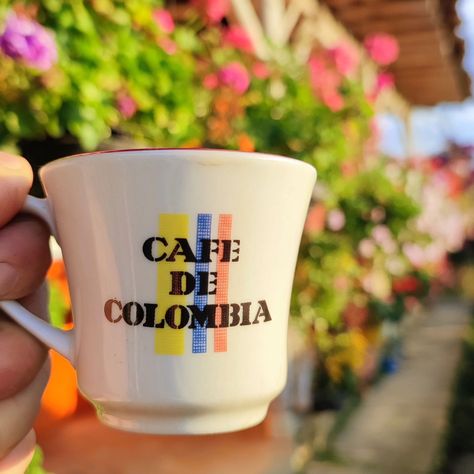 Today, we are proud. Proud of Colombia, proud of our Selección, proud of our culture, and, of course, proud of our coffee. 💛💙❤️ ☕️ Our specialty, single origin coffee is ethically grown, harvested, processed, and roasted IN COLOMBIA! Discover the magic of 100% authentic Colombian coffee. Shop on our website and use code JAMES10 for 10% off your order until 7/21 🌟🥳☕️🇨🇴 #amocolombia #cafedecolombia #orgullocolombiano #orgullocafetero #vamoscafeteros #vamoscolombia #Colombia #encantadocoffee... Colombian Coffee Shop, Colombian Coffee, Roast Me, Single Origin Coffee, Single Origin, Speciality Coffee, Coffee Break, Of Course, Coffee Shop