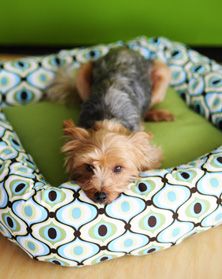 DIY Style :: Projects :: Home Decorating Sewing Projects :: Quick-Stitch Dog Bed Danny Dog, Diy Dog Bed, Quick Stitch, Beginner Sewing Projects Easy, Animal Projects, Diy Dog, Sewing Projects For Beginners, Diy Stuffed Animals, Diy Dog Stuff