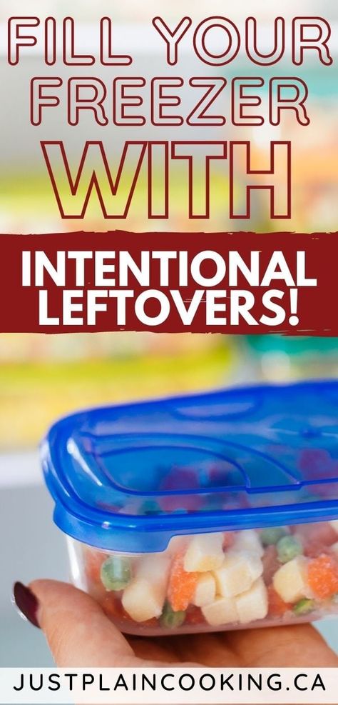 Intentional Leftover Recipes For Busy People Intentional Leftovers, Shredded Beef Burritos, Panko Breaded Chicken Breast, Panko Breaded Chicken, Fill Your Freezer, Salsa Chicken Crockpot, Baked Penne Pasta, Mexican Shredded Beef, Freeze Pancakes