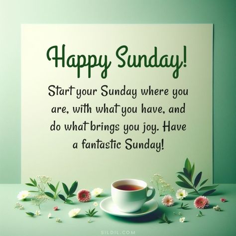 Sunday Greetings Have A Great Day, Sunday Morning Greetings, Happy Sunday Quotes Inspirational, Happy Sunday Quotes Positivity, Happy Sunday Images Beautiful, Happy Sunday Wishes, Good Morning Sunday Wishes, Sunday Good Morning Wishes, Happy Sunday Messages