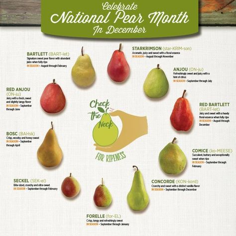 Oregon Dept of Agriculture on Instagram: "Celebrate National Pear Month in December—all 10 varieties of pears are in-season right now, so the time is ripe to be enjoying this delicious fruit! 🍐 Repost from @usapears #CelebrateOregonAgriculture #NationalPearMonth" Benefits Of Pears, Pear Relish, Banana Calories, Pear Varieties, Halloween Lunch Box, Pear Bread, Pear Jam, Bartlett Pears, Sauteed Zucchini