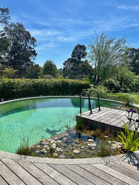 #outdoordesign #pool Small Natural Pool, Organic Swimming Pool, Natural Pools Backyard Swimming Ponds, Natural Swimming Pool Designs, Dip Pool, Eco Pool, Swimming Pool Pond, Pool Inspiration, Natural Swimming Ponds