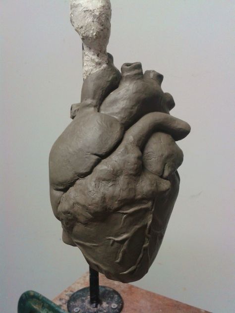 anatomical heart clay sculpture 3d Heart Sculpture, Clay Heart Realistic, Realistic Heart Sculpture, Ceramic Rattle Ideas, Organ Sculpture, Womb Sculpture, Clay Organs, Heart Clay Sculpture, Realistic Ceramics