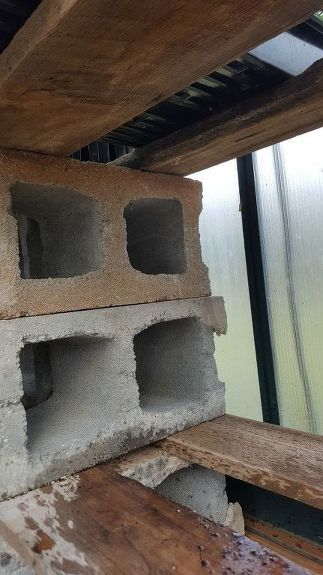 Greenhouse Shelf Diy, Cinder Block Greenhouse Shelves, Shelves For Greenhouse Diy, Diy Greenhouse Bench, Log Greenhouse Diy, Diy Greenhouse Interior Ideas, Diy Greenhouse Shelves How To Build, Shelving For Greenhouse, Greenhouse Benches Diy