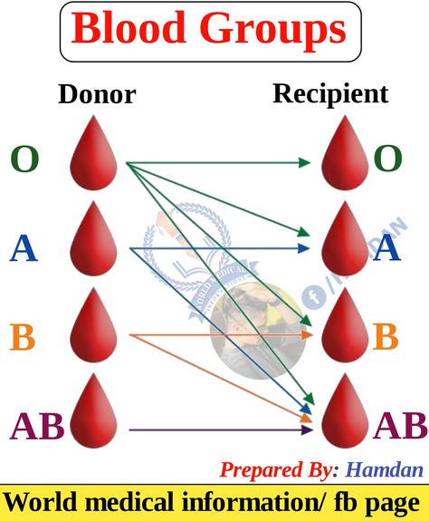 Blood groups Donor and Recipient Body Facts, Arab Scarf, Blood Group, Nclex Pn, Blood Groups, Blood Donor, Nursing School Tips, School Tips, Medical Illustration