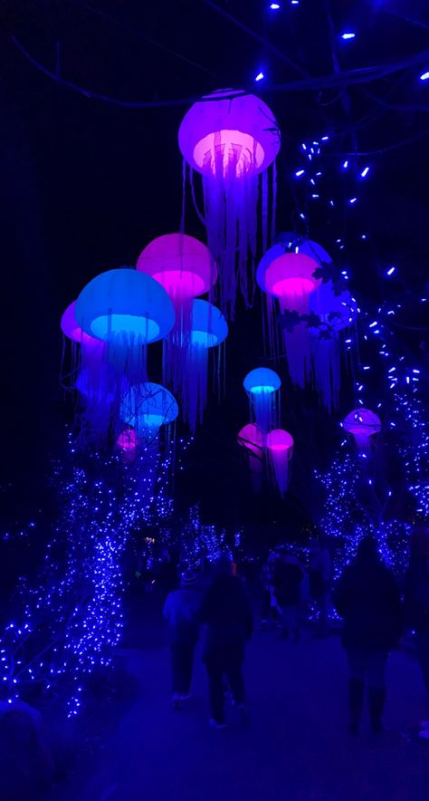 Neon Jellyfish, Light Sculptures, Winter Lights, Zoo Lights, Cincinnati Zoo, Zoo Party, Birthday Trip, Winter Light, 17th Birthday