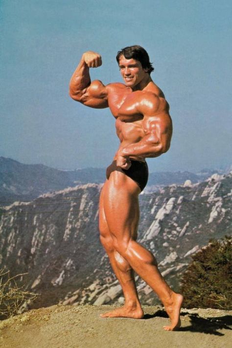 Legion Arnold Pose, Arnold Schwarzenegger Gym, Arnold Bodybuilding, Arnold Schwarzenegger Movies, 남성 근육, Arnold Schwarzenegger Bodybuilding, Schwarzenegger Bodybuilding, Bodybuilding Pictures, Pumping Iron