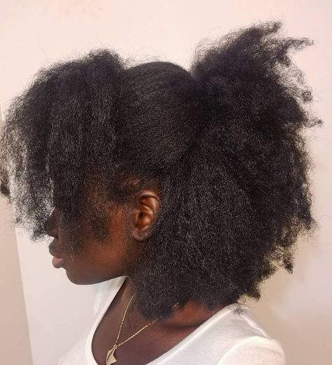 Perfect curls and definition are nice and all but there is also beauty in letting our hair flourish in its natural state. Those are the… Girls Natural Hairstyles, Pelo Afro, 4c Natural Hair, Natural Hair Beauty, 4c Hair, Natural Hair Styles Easy, Coily Hair, Natural Hair Inspiration, 4c Hairstyles