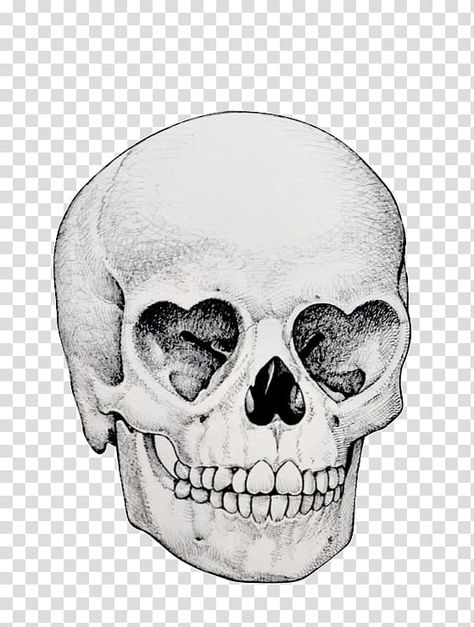 Skull Art Tattoo, Skeleton Tattoos, Skulls Drawing, Dekor Diy, Tattoo Portfolio, Skull Tattoo Design, Tattoo Art Drawings, Skull Drawing, Arte Inspo