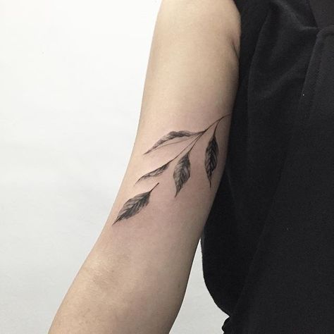 Sweet Basil  #sweetbasil #planttattoo #blacktattoo #blackwork #tattoo #tattoos #ink #스위트바질 #식물타투 #타투 #타투이스트홍담 Basil Tattoo, Tattoo Plant, Plant Tattoo, Botanical Tattoo, Sweet Basil, Nature Tattoos, Skin Art, Forearm Tattoos, Blackwork Tattoo