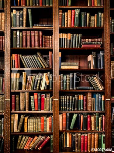 Stock Image: Books on Shelves in Library or Study with Classic Dark Wood Dark Bookshelves, Books On Shelves, Brown Bookshelves, Bookshelf Bedroom, Dark Wood Shelves, Classic Bookshelves, Large Bookshelves, Library Bookshelves, Classic Library