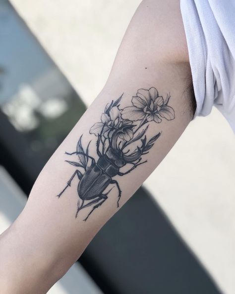 Healed boyz  #beetletattoo  @eddiexbird on insta Flower With Bugs Tattoo, Beetle And Flower Tattoo, Bug Flower Tattoo, Entomology Tattoo, Stag Beetle Tattoo, Fam Tattoo, Wasp Tattoo, Beetle Tattoo, Tattoo 2024