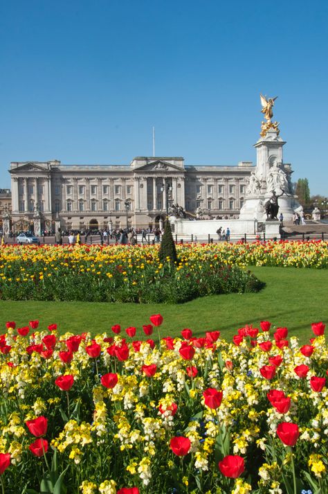 Buckingham Palace Aesthetic, Birmingham Palace, London Buckingham Palace, Buckingham Palace Gardens, Buckingham Palace London, Photo London, Fall Gardening, Garden Tattoo, London Dreams