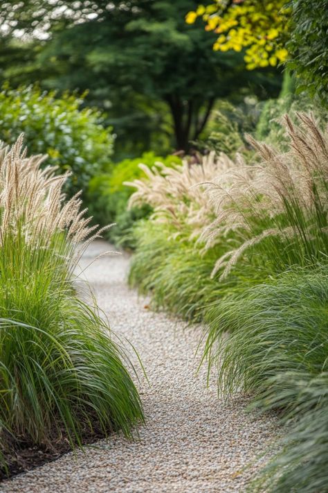 "Transform your landscape with ease by planting ornamental grasses! 🌾✨ These low-maintenance beauties add texture, movement, and year-round interest to any garden or outdoor space. Perfect for creating natural borders, adding height, or filling in empty spots, ornamental grasses are versatile and resilient. Discover the many benefits of incorporating these graceful plants into your landscape. 🌿🏡 #OrnamentalGrasses #LandscapeDesign #GardenBeauty #LowMaintenanceGardening" High Grass Garden, Small Grass Garden, Wild Grasses Landscaping, Sea Grass Landscaping, Native Grasses Landscaping, Front Yard No Grass Ideas, Mondo Grass Landscaping, Garden With Grasses, Side Garden Design