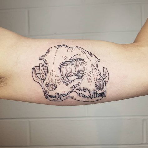 Cool Animal Skulls, Canine Tooth Tattoo, Animal Skull Hand Tattoo, Blackwork Animal Tattoo, Janus Cat, Animal Skeleton Tattoo, Oddities Tattoo, Animal Skull Tattoo, Cat Skull Tattoo