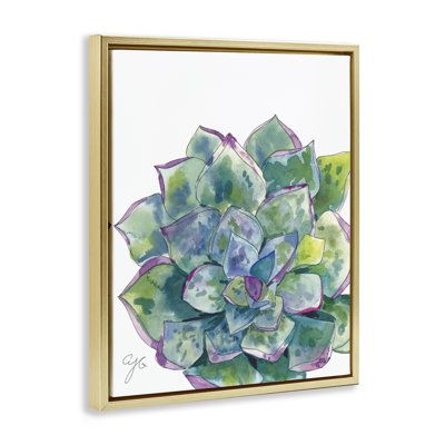 Our stretched canvas, floating framed, framed giclée and wall plaques are created with only the highest standards. We print with high quality inks. The art comes ready to hang with no installation required. Lark Manor™ Frame Color: Gold, Overall Size: 21" H x 17" W | Lark Manor™ Abstract Succulent Watercolor Framed Floater Canvas Wall Art by Alexandria Gilbert Kincaid in Gold | 21" H x 17" W | Wayfair | Home Decor Succulent Watercolor, Wall Plaques, Floating Frame, Stretched Canvas, Pillow Art, Succulent, Stretch Canvas, Home Decor Wall Art, Canvas Wall