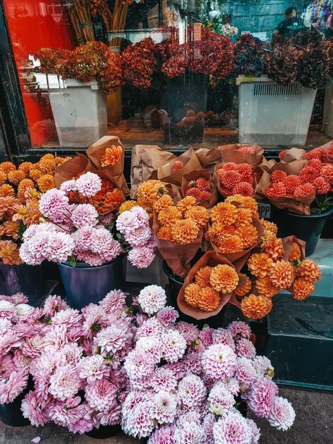 Your Guide to NYC Flower District | Know Before You Go Nyc Flower Market, New York Flower, Meatpacking District, Trade Centre, Flower Market, Beautiful Blooms, Oh The Places Youll Go, Plant Lover, Flower Shop