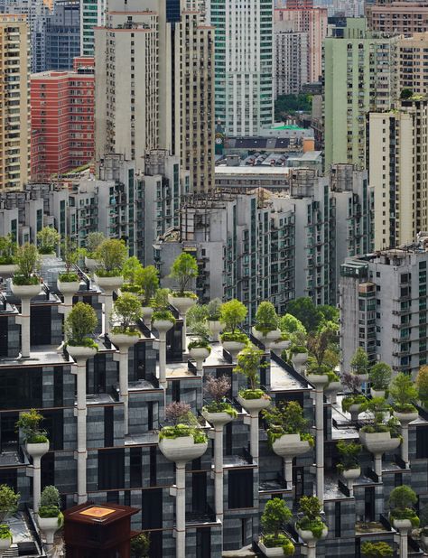 Heatherwick Studio reveals 1,000 Trees nearing completion in Shanghai Heatherwick Studio, Singapore Changi Airport, Thomas Heatherwick, Types Of Granite, Green Granite, Floating Garden, Forest City, Living Modern, Planning Permission