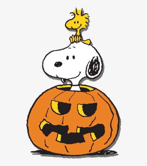 Woodstock Snoopy, Great Pumpkin Charlie Brown, Snoopy Dog, Peanuts Halloween, Charlie Brown Halloween, Snoopy Halloween, Snoopy Images, Snoopy Wallpaper, Snoopy Pictures