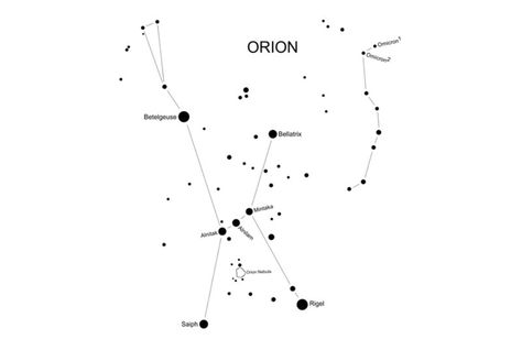 Orion constellation tattoo Orion Tattoo, Constellation Stars, Orion's Belt, Orion Constellation, Constellation Tattoo, Space Tattoo, Constellation Tattoos, Star Constellations, Never Grow Up