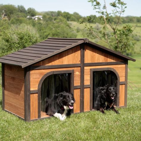 Double Dog House, Easy Dog House, Dog House With Porch, Raised Floor, Wood Dog House, Build A Dog House, Wooden Dog House, Large Dog House, Outdoor Dog House