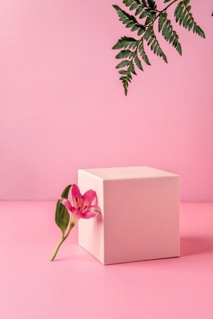 Fragrance Editorial, Leaves Wallpaper Iphone, Studio Backdrops Backgrounds, Jewelry Product Shots, Adobe Photoshop Design, Beauty Drawings, Pink Perfume, Still Life Photos, Cosmetic Products