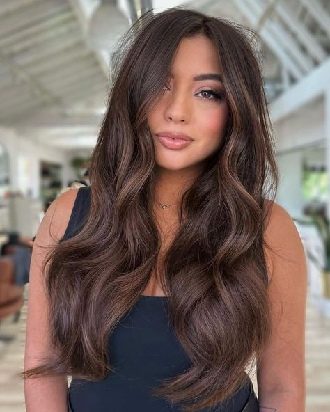 2023 Fall Hair Color Trends You'll Be Seeing Everywhere Spring Hair Color Trends, Winter Hair Trends, Fall Hair Color Trends, Latest Hair Color, Brown Hair Inspo, Brunette Hair With Highlights, Spring Hair Color, Balayage Brunette, Winter Hair