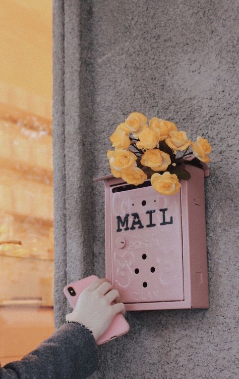 Flowers Retro Aesthetic, Pink Mailbox Aesthetic, Mailbox Aesthetic, Mailbox Photography, Yellow Mailbox, Pink Mailbox, Left On Read, Letters Aesthetic, Mailbox Flowers