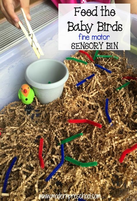 feed worms to the baby birds fine motor, color sorting sensory bin from Modern Preschool Sensory Tubs, Tree Study, Preschool Fine Motor, Baby Birds, Sensory Boxes, Spring Preschool, Creative Curriculum, Motor Skills Activities, Sensory Table