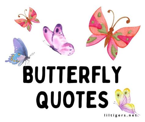 110 Best Butterfly Quotes for Kids Quotes About Butterflies, Butterfly Sayings, Sayings For Kids, Funny Butterfly, Preschool Quotes, About Butterflies, Butterfly Quotes, Stem Projects, Butterfly Kisses