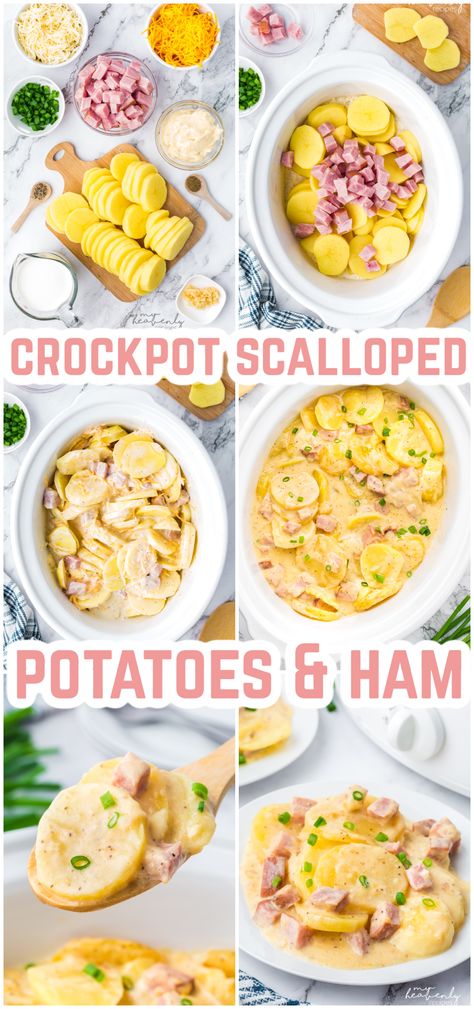 Crockpot Scalloped Potatoes and Ham Chicken And Ham Crockpot Recipes, Cheesy Scalloped Potatoes And Ham Crock Pot, Crockpot Cheesy Ham And Potatoes, Diced Ham Recipes Dinner Crock Pot, Ham Scalloped Potatoes Crock Pot, Cheesy Potatoes And Ham Crock Pot, Crockpot Cheesy Potatoes And Ham, Cubed Ham Crockpot Recipes, Cubed Ham Recipes Dinners Simple