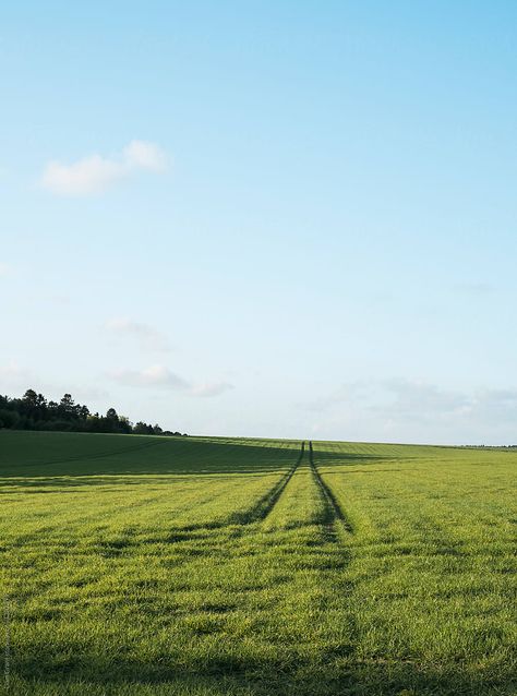 Open Field Photography, Vr Background, Green Field Aesthetic, House In Field, Headless Angel, 1917 Poster, Imagine Heaven, Cloudy Landscape, Pink Field