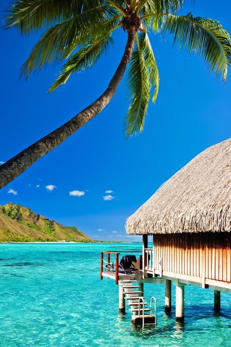 If you are looking for the best tropical honeymoon destinations, use this guide to get the pros and cons of Bora Bora vs Maldives. When deciding between Maldives and Bora Bora, consider resort options, budget, time of year, and difficulty in getting there. | best honeymoon destinations islands | maldives vs bora bora | maldives honeymoon romantic bora bora | bora bora maldives | bora bora or maldives | maldives or bora bora | maldives honeymoon resort bora bora World Most Beautiful Place, Best Vacation Destinations, Honeymoon Places, Adventure Travel Explore, Dream Vacations Destinations, Breathtaking Places, Exotic Places, Beautiful Places On Earth, Tromso