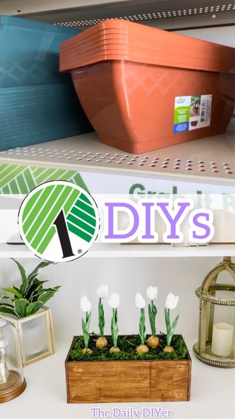 “Dollar Tree Planter DIYs - The Daily DIYer Dollar Store Planter Ideas, Dollar Tree Planters Ideas, Huge Planters, Tiered Planter, Wall Mounted Planters, Tree Planters, Colorful Planters, Window Planter Boxes, Easter Egg Crafts