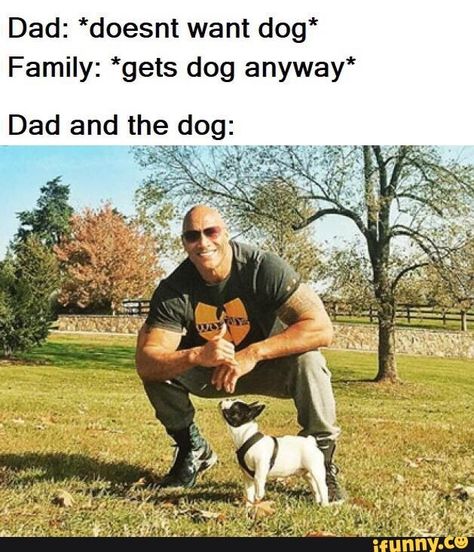 Dad: *doesnt want dog* Family: *gets dog anyway* Dad and the dog: «,e: x – popular memes on the site iFunny.co #relatable #memes #want #dog #dad #pic Happy Memes, 9gag Funny, Meme Comics, Clean Memes, Memes Humor, The Feels, Wholesome Memes, Time Saving, Komik Internet Fenomenleri