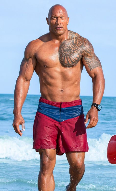 Baywatch Dwayne Johnson Body, Dwayne Johnson Family, Dwayne Johnson Movies, Human Body Proportions, Hugh Jackman Shirtless, Sandra Bullock Hair, Baywatch Movie, Duke Bike, Fake Ft Call