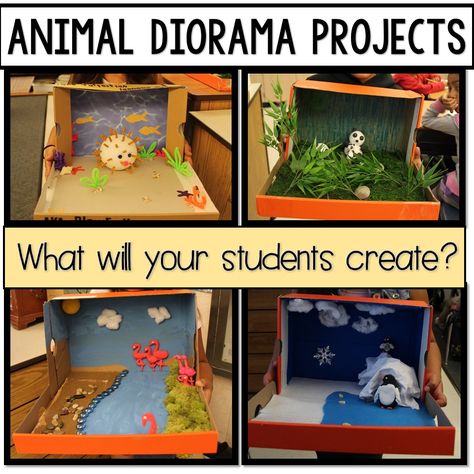 I was first introduced to the idea of creating Animal Dioramas when my son (who was a first grader at the time), brought home a shoebox an... Animal Habitats Kindergarten, Animal Diorama, Endangered Animals Project, Animal Research Project, Habitat Activities, Diorama Kids, Ecosystems Projects, Habitats Projects, Zoo Project