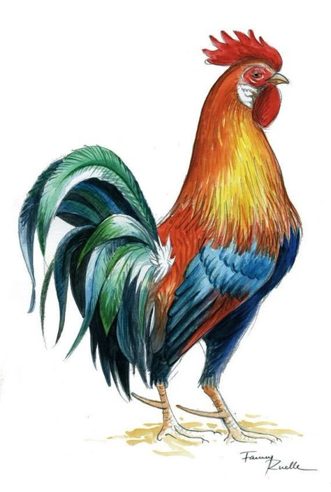 Rooster Tattoo, Rooster Painting, Chicken Painting, Rooster Art, Farm Art, Chicken Art, Bird Drawings, Color Pencil Art, Birds Painting