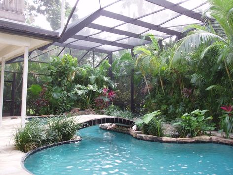 Pool Screen Enclosure, Pool Screen, Pool Landscaping Ideas, Indoor Swimming Pool Design, Screened Pool, Florida Landscape, Florida Pool, Southern Florida, Indoor Pool Design