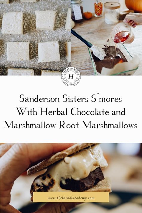 Sanderson Sisters S’mores With Herbal Chocolate and Marshmallow Root Marshmallows | Herbal Academy | Pair your tradition of watching Hocus Pocus with these easy-to-make Sanderson Sisters S’mores. The pillowy texture, sweet herbal flavors, and unique ingredients take s’mores to the next level! Herbal Chocolate, Sticky Candy, Herbal Academy, Rose Flavored, Chocolate Bites, Recipes With Marshmallows, Marshmallow Root, Homemade Marshmallows, Aip Recipes