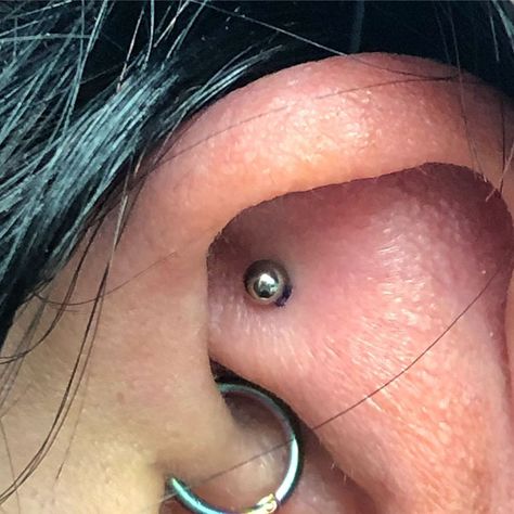 Shen Men Ear Piercing, Shen Men Piercing, Men Ear Piercing, Men Piercing, Divine Gate, Ear Piercing, Acupuncture, Tattoos And Piercings, Earings Piercings