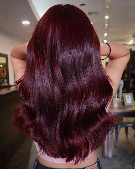 Red Hair, Hair, Hair Colour Ideas, Hair Colour, Hair Color Ideas Trending, Trending In 2023, Red Hair Color Ideas, Red Hair Color, Hair Color Ideas