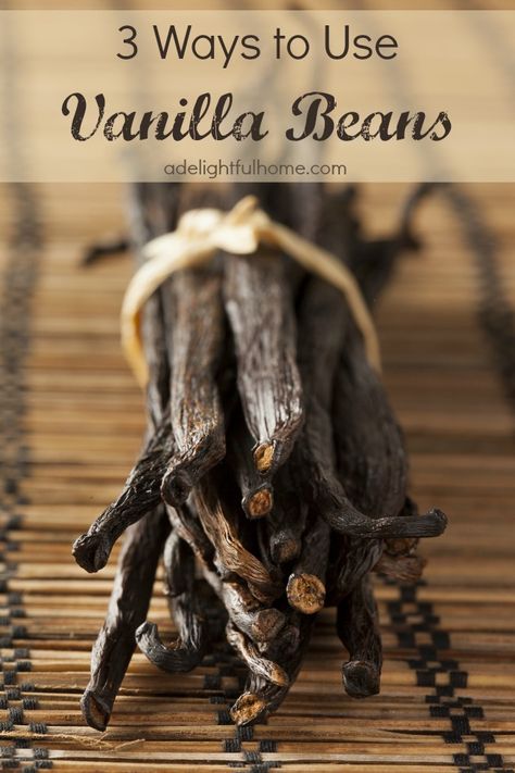 Vanilla beans are fun to use for a variety of projects. They are a wonderful addition to foods as well as natural body care products. Simply cut the vanilla beans open lengthwise and scrape out the seeds inside. The seeds can be used in all manner of baked goods, ice cream, and other delectable desserts. I was quite surprised the first time I saw a vanilla bean. I seemed so leathery and strange! I'm not sure what thoughts they'd would look like, but it wasn't that! Good quality vanilla beans won Easy Christmas Presents, Christmas Presents To Make, Homemade Vanilla Extract, Nice Recipes, Baking Basics, Vanilla Beans, Homemade Spices, Homemade Vanilla, Diy Tips