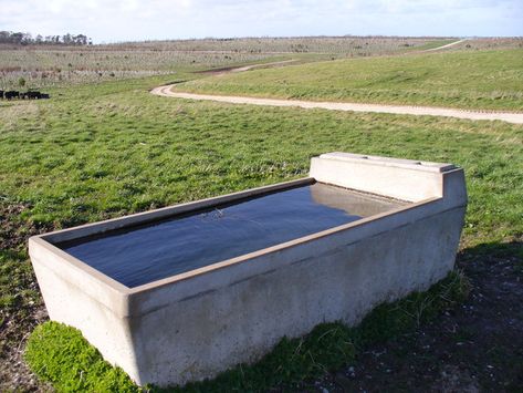 Water Trough, Stock Tank, Surface Water, Horse World, Outdoor Storage Box, Outdoor Furniture, Outdoor Decor, Water, Home Decor