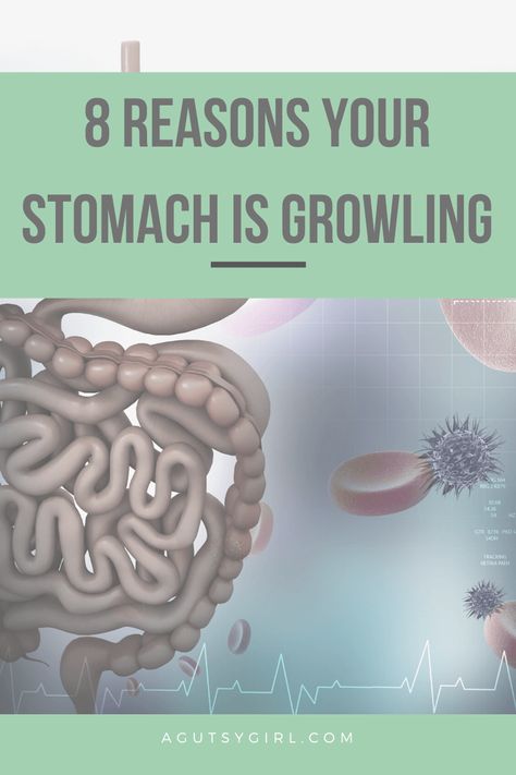 Why is My Stomach Growling agutsygirl.com #stomach #digestion #guthealth Gurgling Stomach, Gassy Stomach, Stomach Rumbling, Stomach Remedies, Stomach Gas, Stomach Growling, Gastric Problem, Stomach Ulcers, Bloated Belly