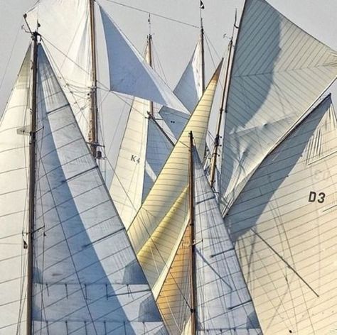 Sea of Sails Sailing Aesthetic, Boat Summer, Classic Sailing, Boat Race, Yacht Design, Sailing Yacht, Tall Ships, Wooden Boats, Set Sail