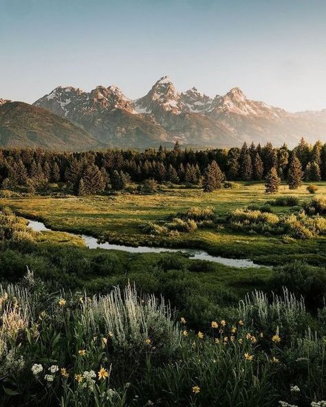 Mountains Aesthetic, Pretty Landscapes, Nature Aesthetic, Pretty Places, Nature Pictures, Land Scape, Wyoming, Beautiful World, Beautiful Landscapes