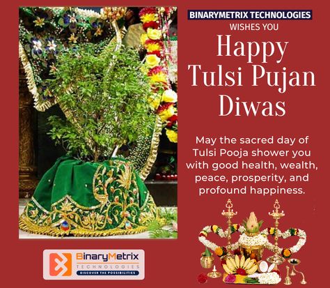 BinaryMetrix Technologies wishes you and your family a very Happy tulsi pooja diwas! Tulsi Pooja Divas, Tulsi Puja Wishes, Tulsi Pujan Divas, Happy Tulsi Pooja Wishes, Tulsi Pujan, Tulsi Pooja, Tulsi Vivah, Good Morning Clips, Tulsi Plant